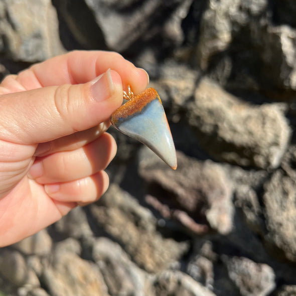 Hypnotizing Fossil Mako Tooth Pendant- STFP21