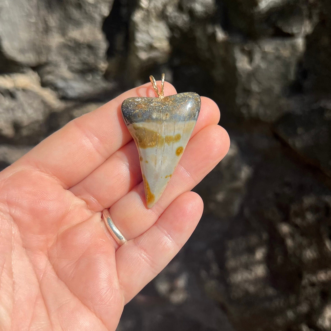 Speckled Fossil Mako Tooth Pendant- STFP36