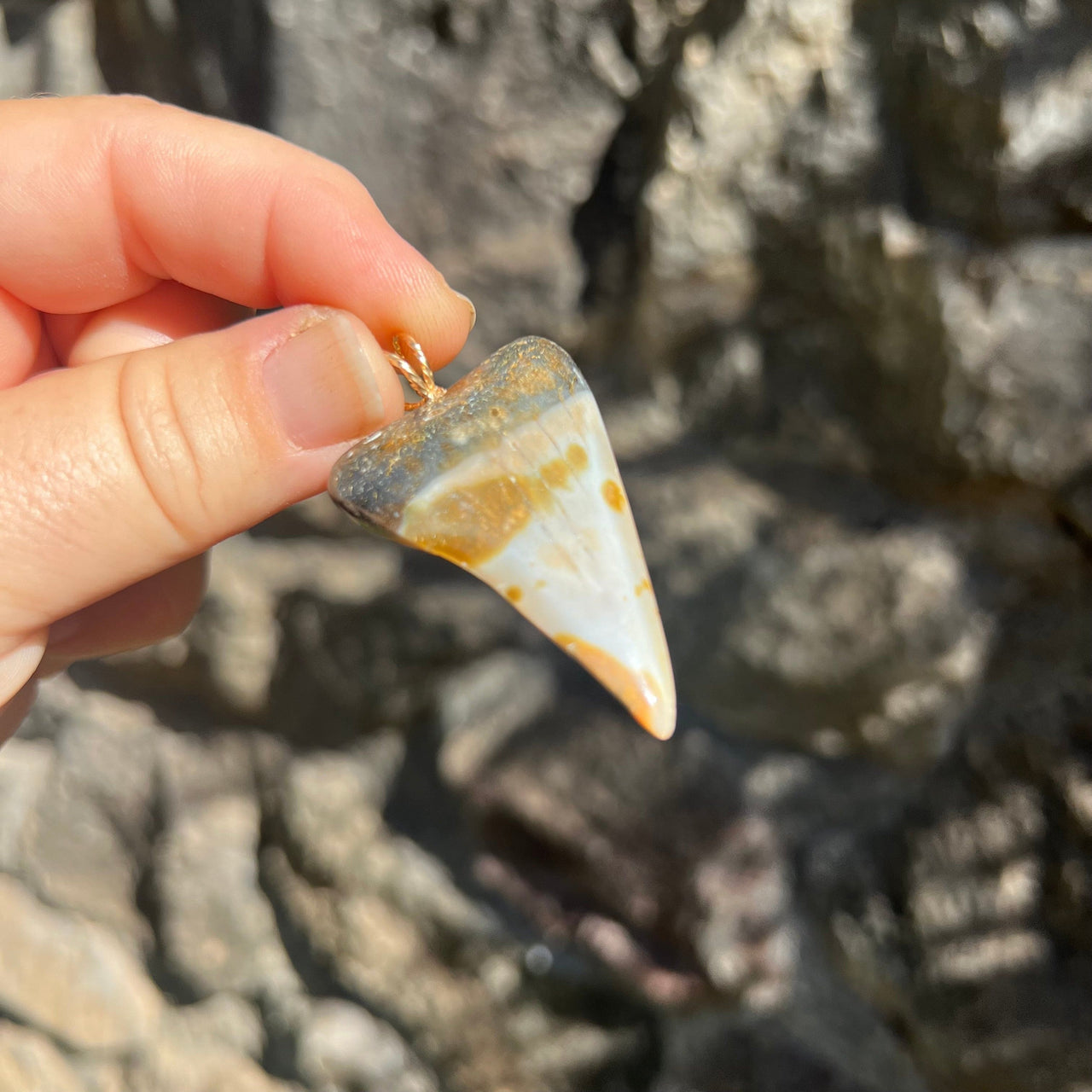 Speckled Fossil Mako Tooth Pendant- STFP36