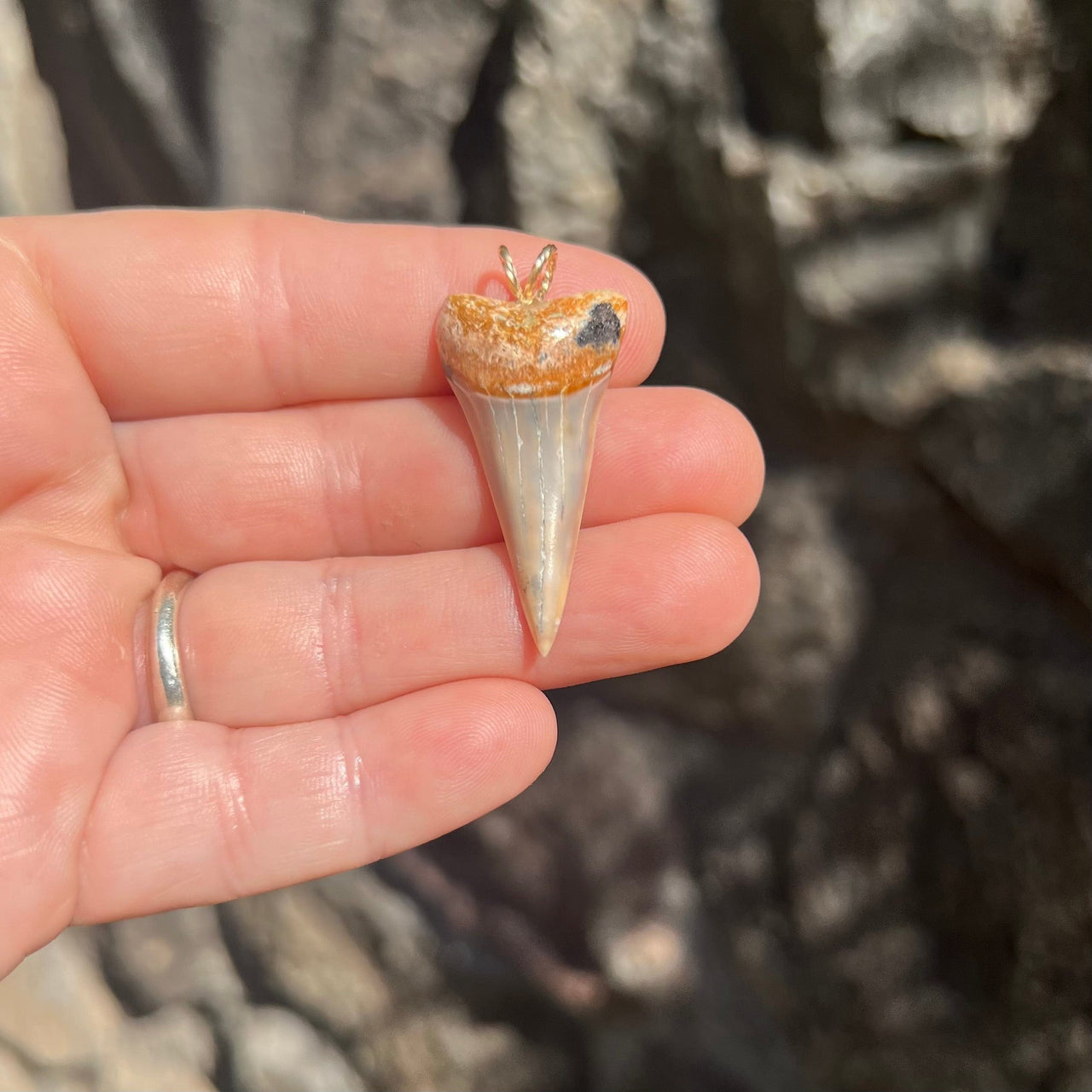 Fossil Mako Tooth Pendant- STFP44