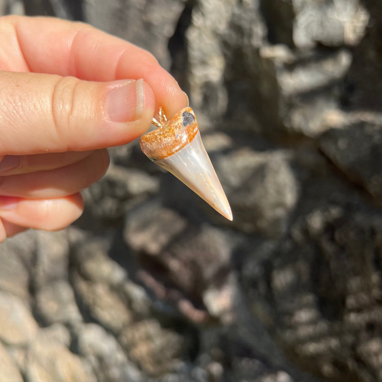 Fossil Mako Tooth Pendant- STFP44