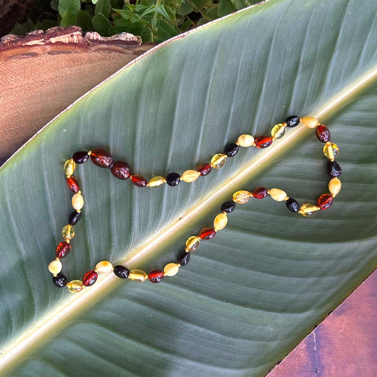 13" Baltic Amber Alternating Color Baby Bead Necklace