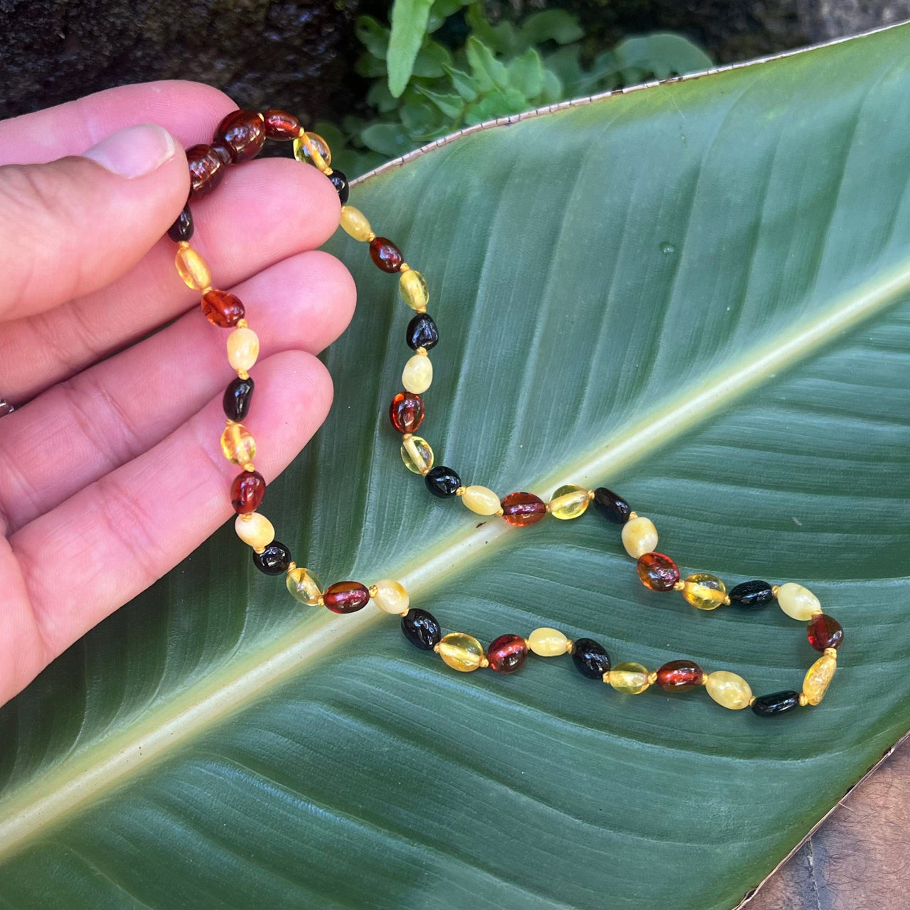 13" Baltic Amber Baby Bead Necklace