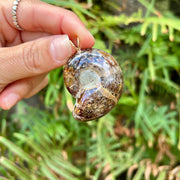 Back of Large Fossil Ammonite Pendant