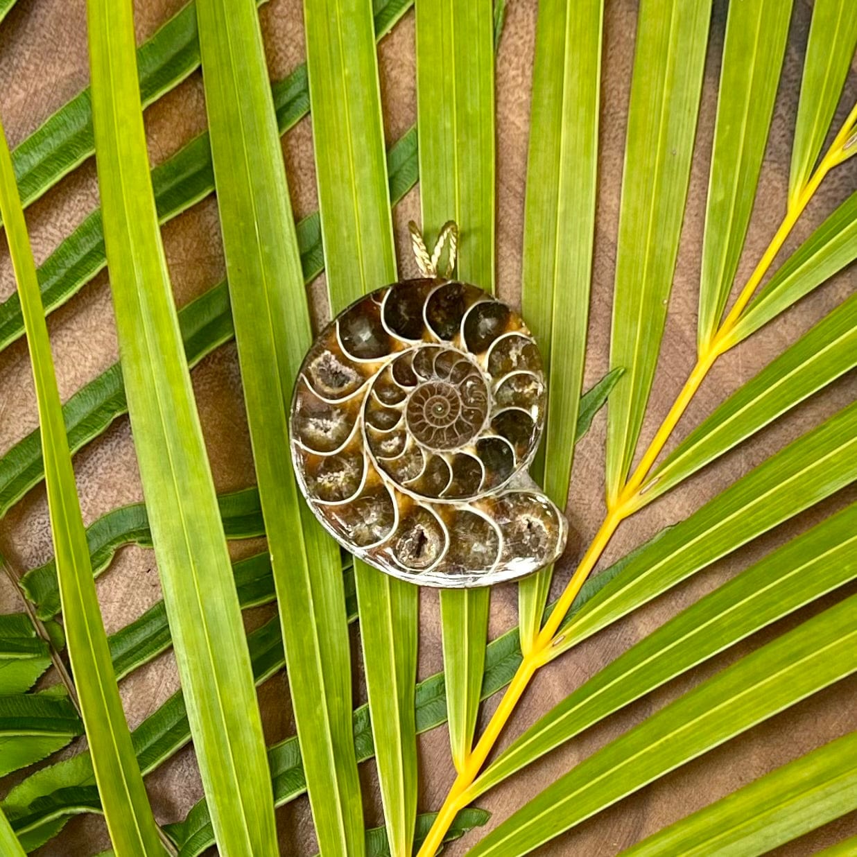 Large Ammonite Fossil Pendant