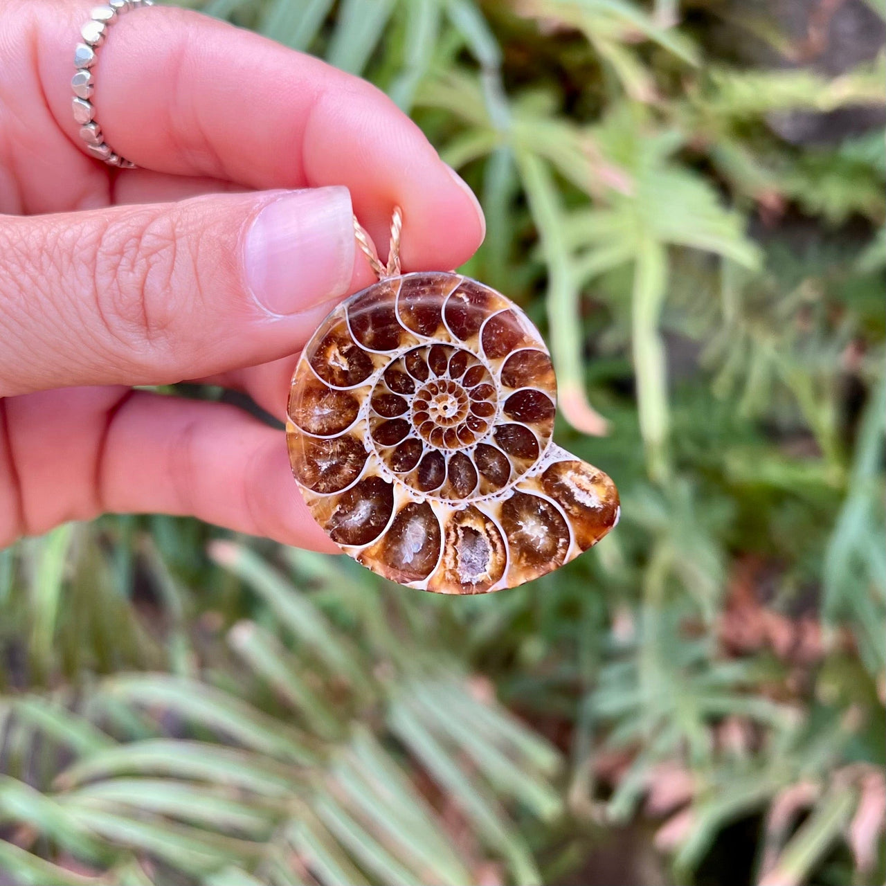 Small Ammonite Pendant