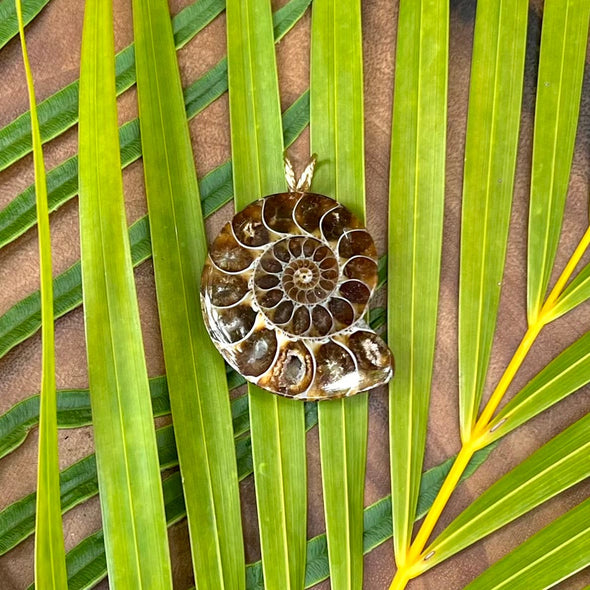 Small Ammonite Pendant