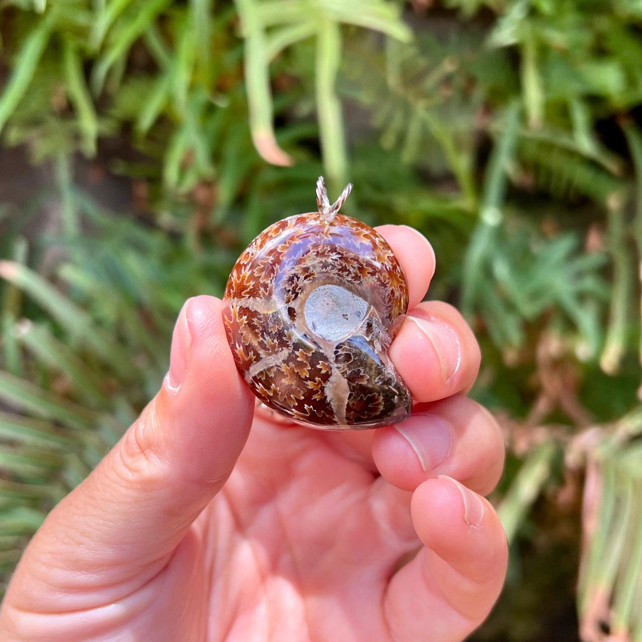 Small Ammonite Pendant