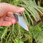 Side of 3 3/16" Partial Megalodon Shark Tooth Fossil