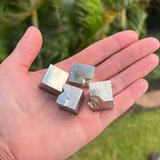 Navajun Crystal Cubes of Pyrite