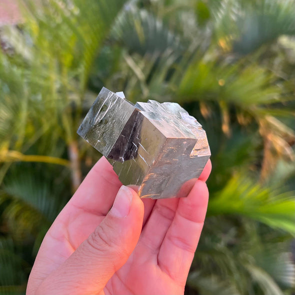 Double Navajun Pyrite Crystal - PyM212B