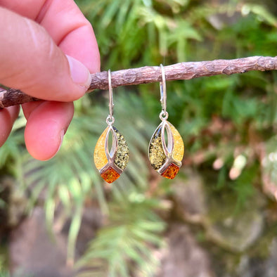 Multi Color Baltic Amber Dangle Earrings- BAER15