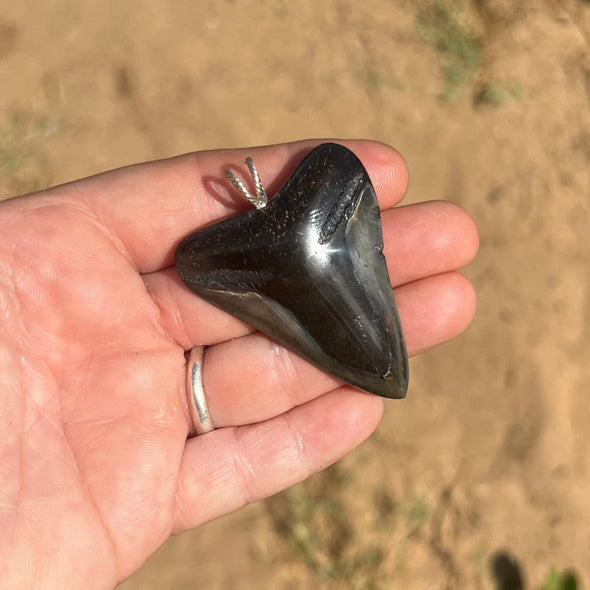 2 1/8” Megalodon Tooth Pendant- STFP41