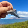 2 1/8” Megalodon Tooth Pendant- STFP38