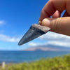 2 1/8” Megalodon Tooth Pendant- STFP38