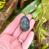 Tiny Fossil Trilobite- Fos