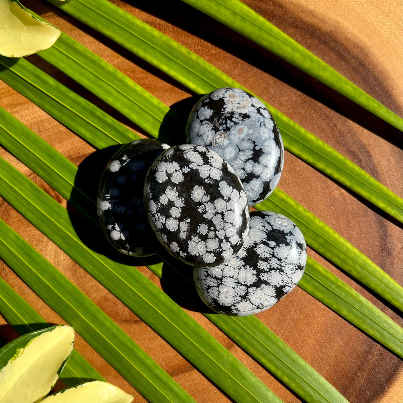 Snowflake Obsidian Pillows