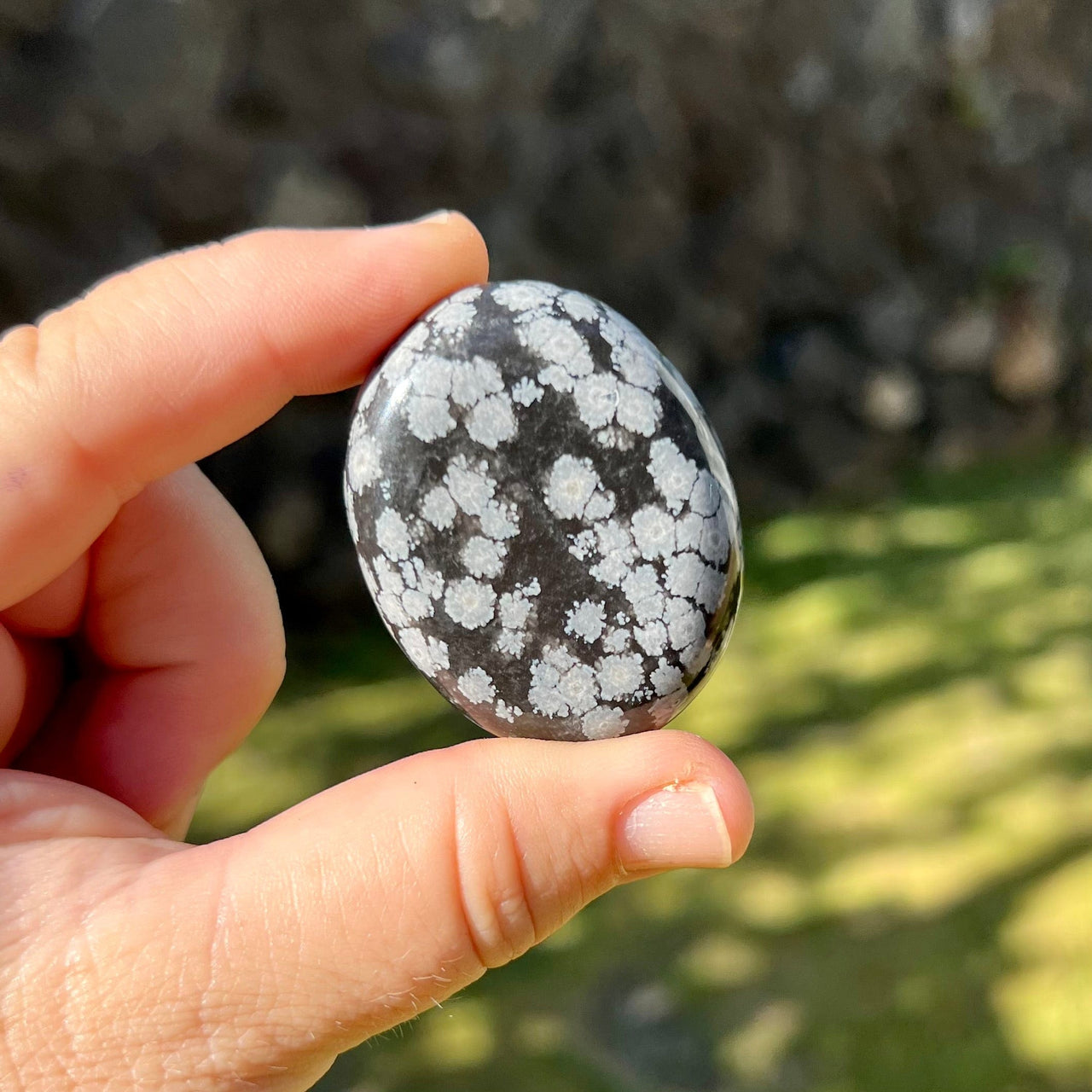 Snowflake Obsidian Pillows