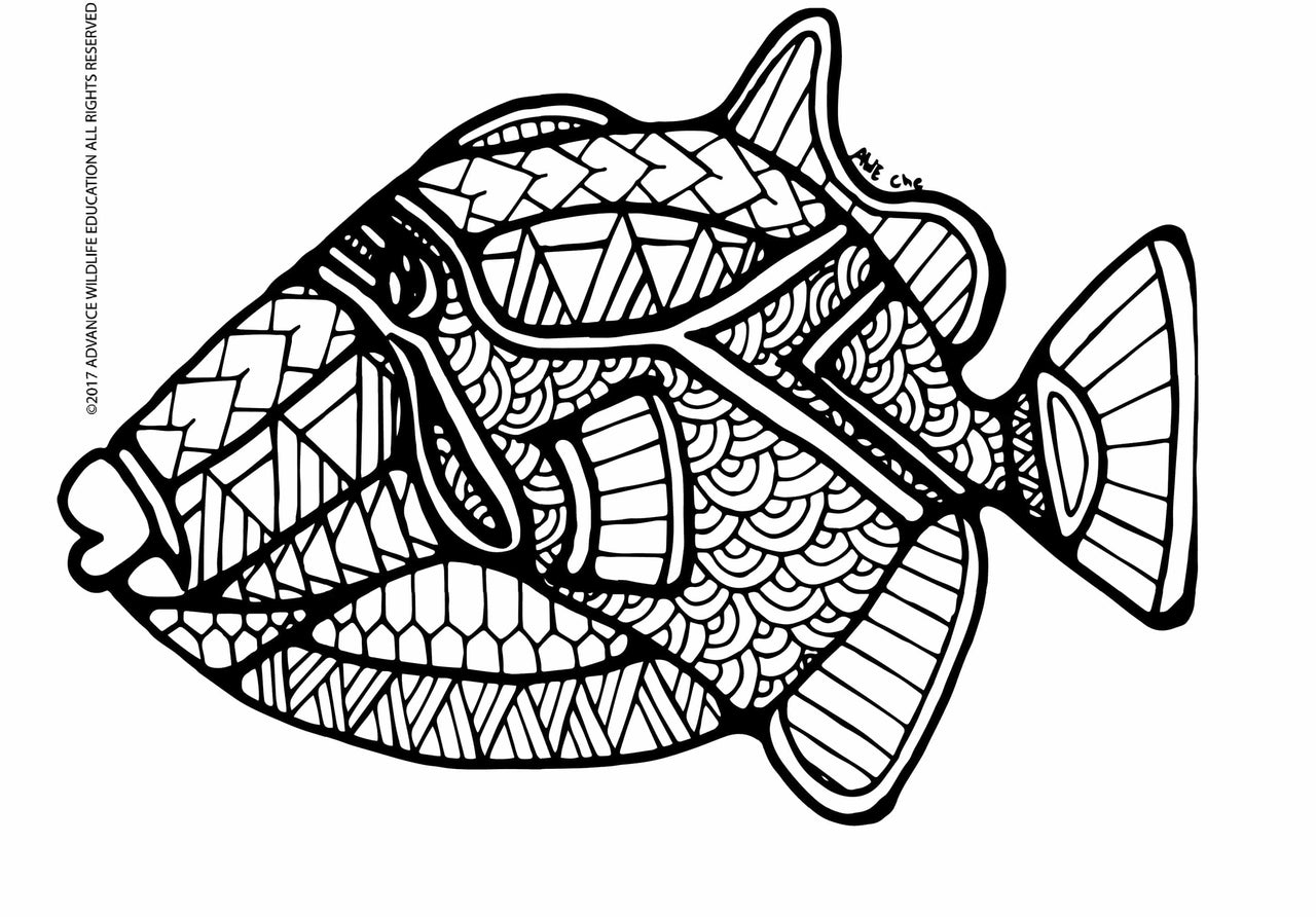 Humuhumunukunukuāpuaʻa Fish Page in Hawaiian Ma Kai Marine Wildlife Coloring Book