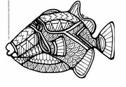 Humuhumunukunukuāpuaʻa Fish Page in Hawaiian Ma Kai Marine Wildlife Coloring Book