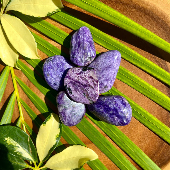 Charoite Healing Stones on Palm Leaf
