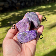 Three Charoite Medium Freeform Specimens