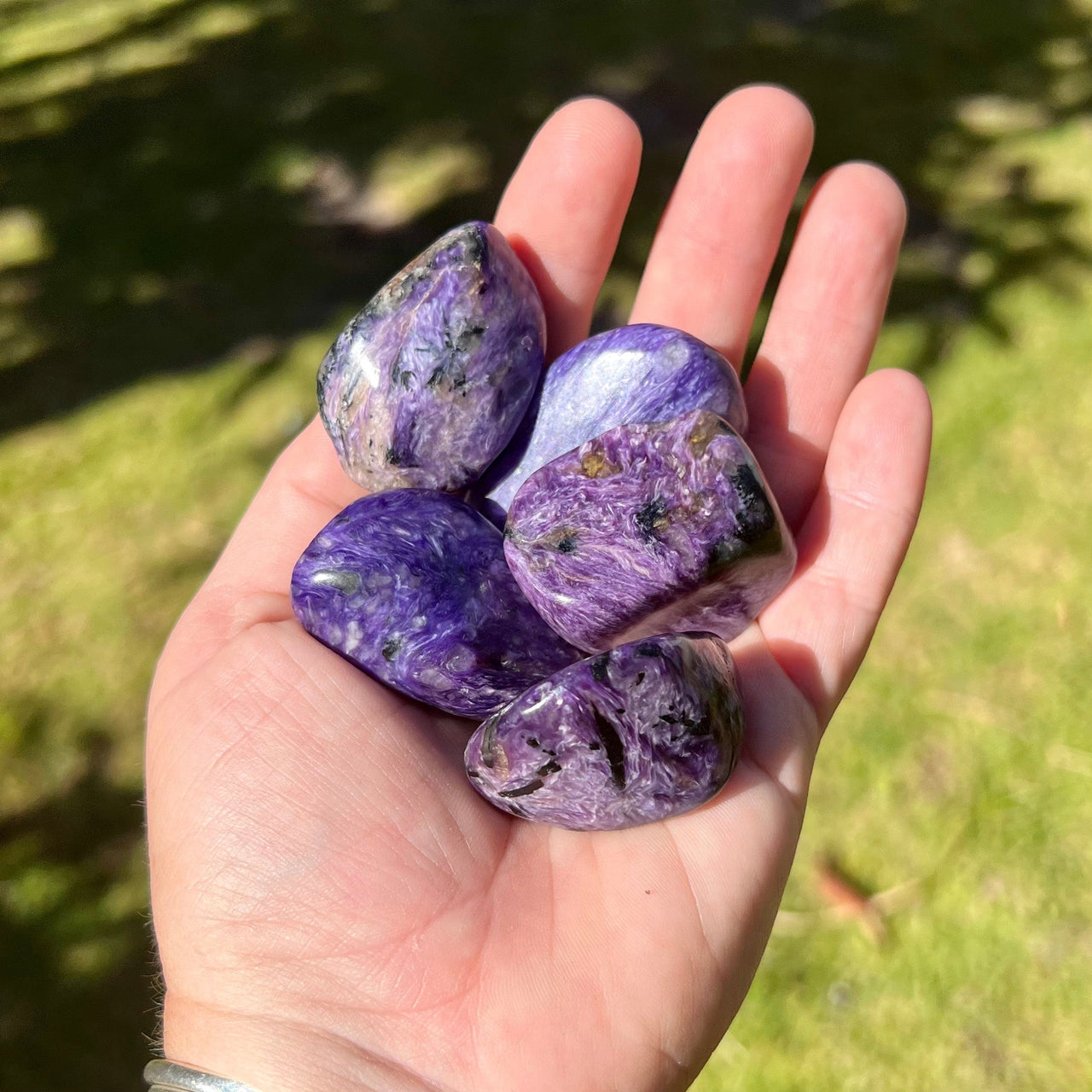 Hand Holding Charoite Pebbles