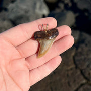 Mako Shark Tooth Fossil Pendant