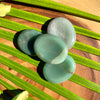 Stack of Green Aventurine Worry Stone Healing Crystals