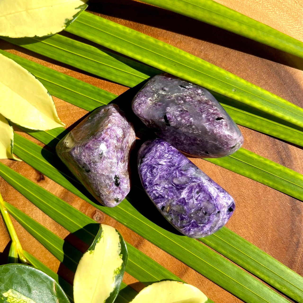 Charoite Medium Freeform Specimens