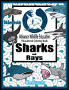 Sharks and Rays Educational 3 Pack with Real Fossil Shark Tooth!