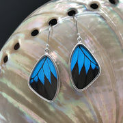 butterfly, butterfly jewelry, butterfly wings, sterling silver, earrings