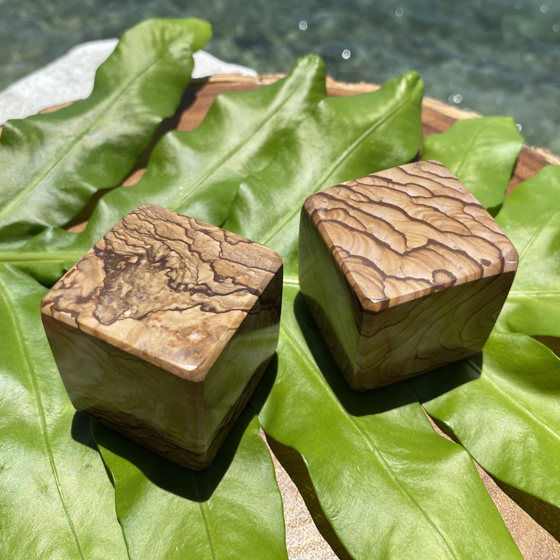 Healing Crystal Picture Jasper Cubes on Leaf