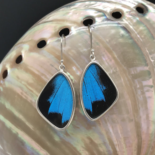 butterfly, butterfly jewelry, butterfly wings, sterling silver, earrings