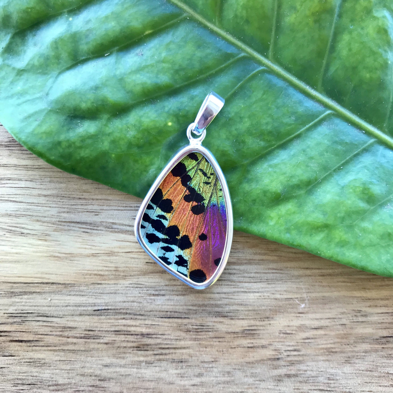 butterfly, butterfly jewelry, butterfly wings, sterling silver, pendant