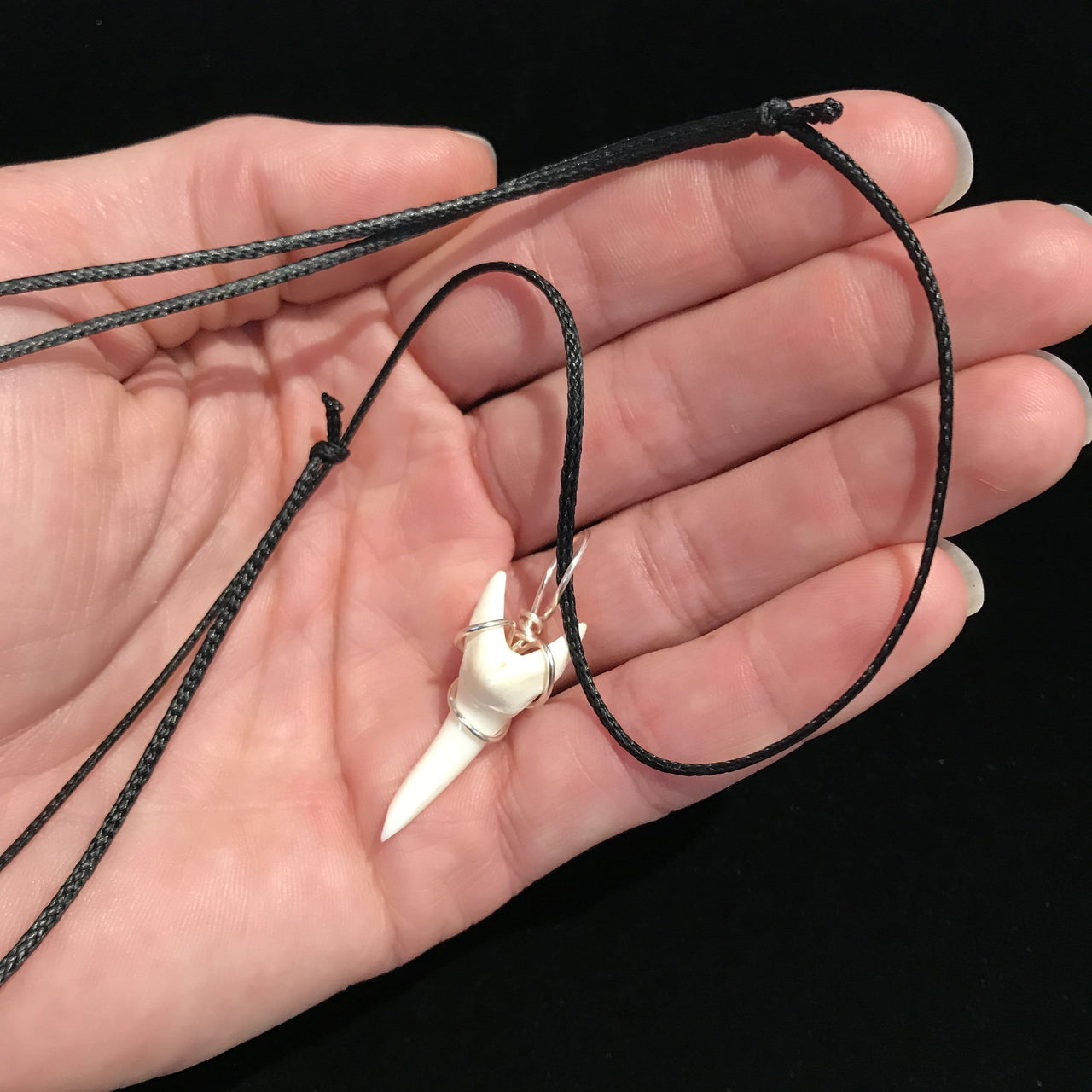 Mako Shark Tooth Pendant