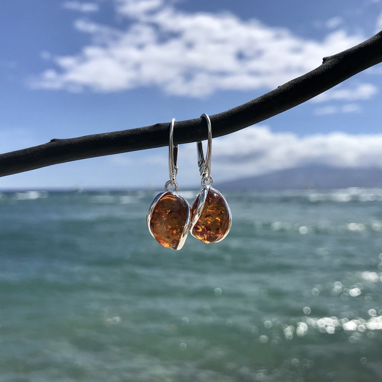 Honey Baltic Amber Earrings