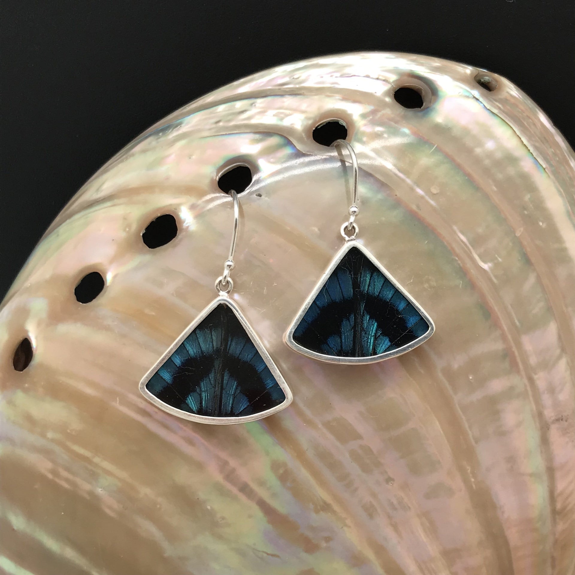 Butterfly Wing Fan Style Earrings in Blue Flash