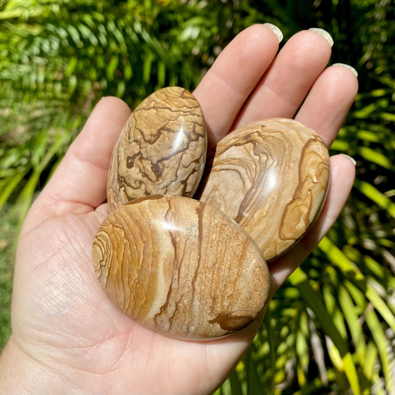 Picture Jasper Palm Stone