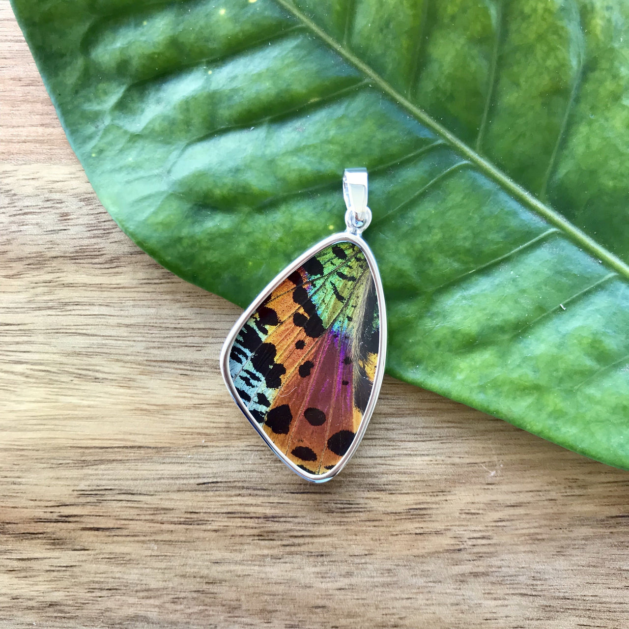 butterfly, butterfly jewelry, butterfly wings, sterling silver, pendant