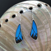 Butterfly Wing Slim Earrings in Blue and Black