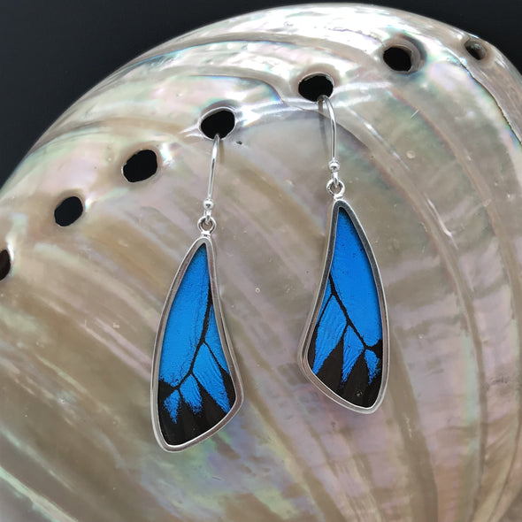Butterfly Wing Slim Earrings in Blue and Black