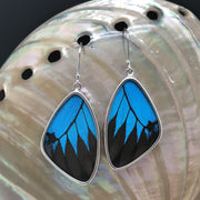 Large Blue Butterfly Wing Earrings