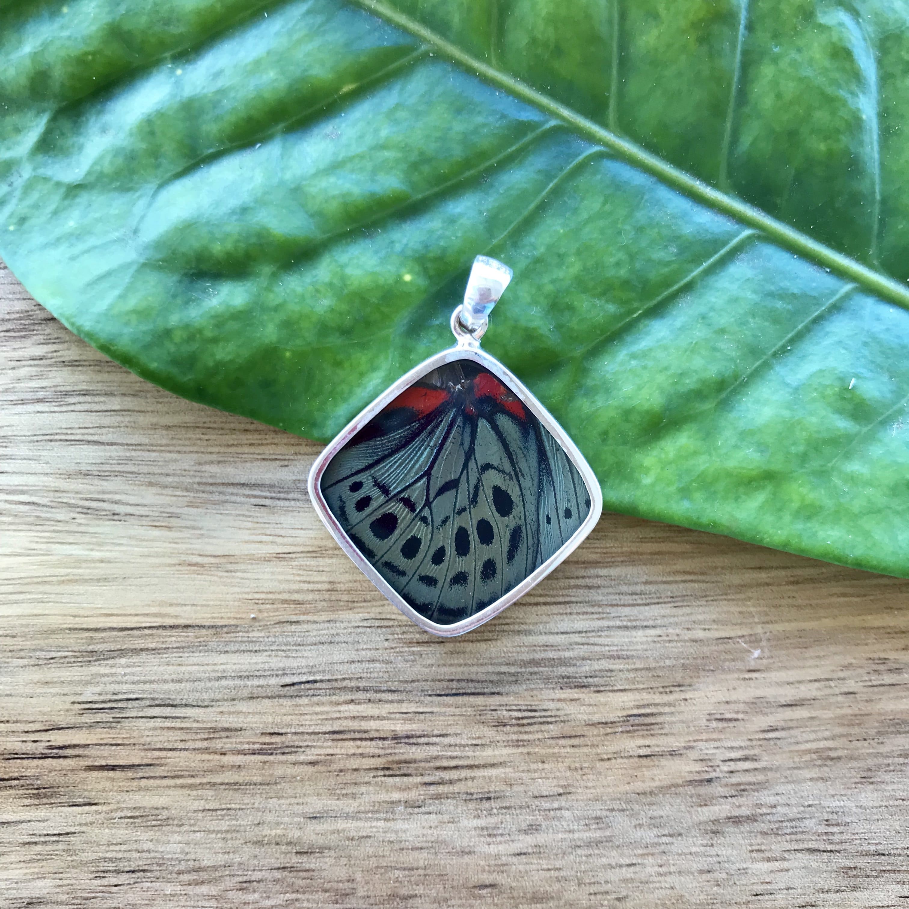 Real butterfly wing 2025 jewelry sterling silver