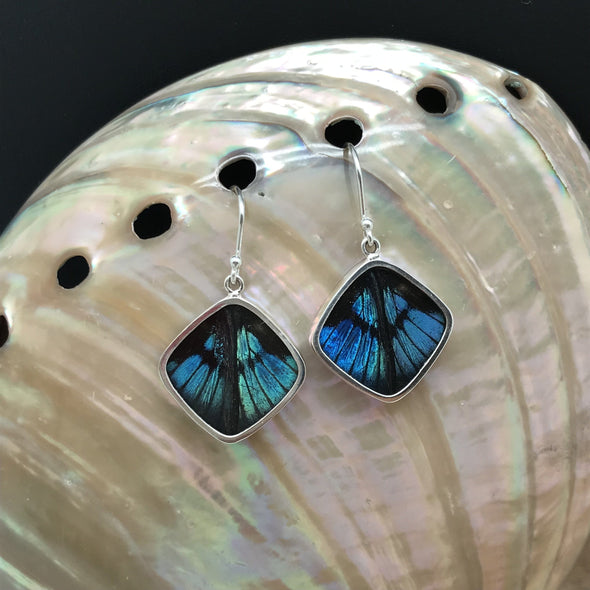Blue Flash Diamond Style Butterfly Wing Earrings