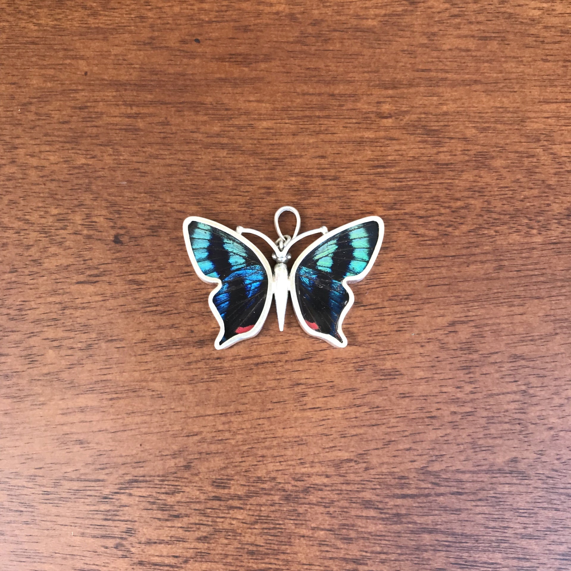 butterfly, butterfly jewelry, butterfly wings, sterling silver, pendant