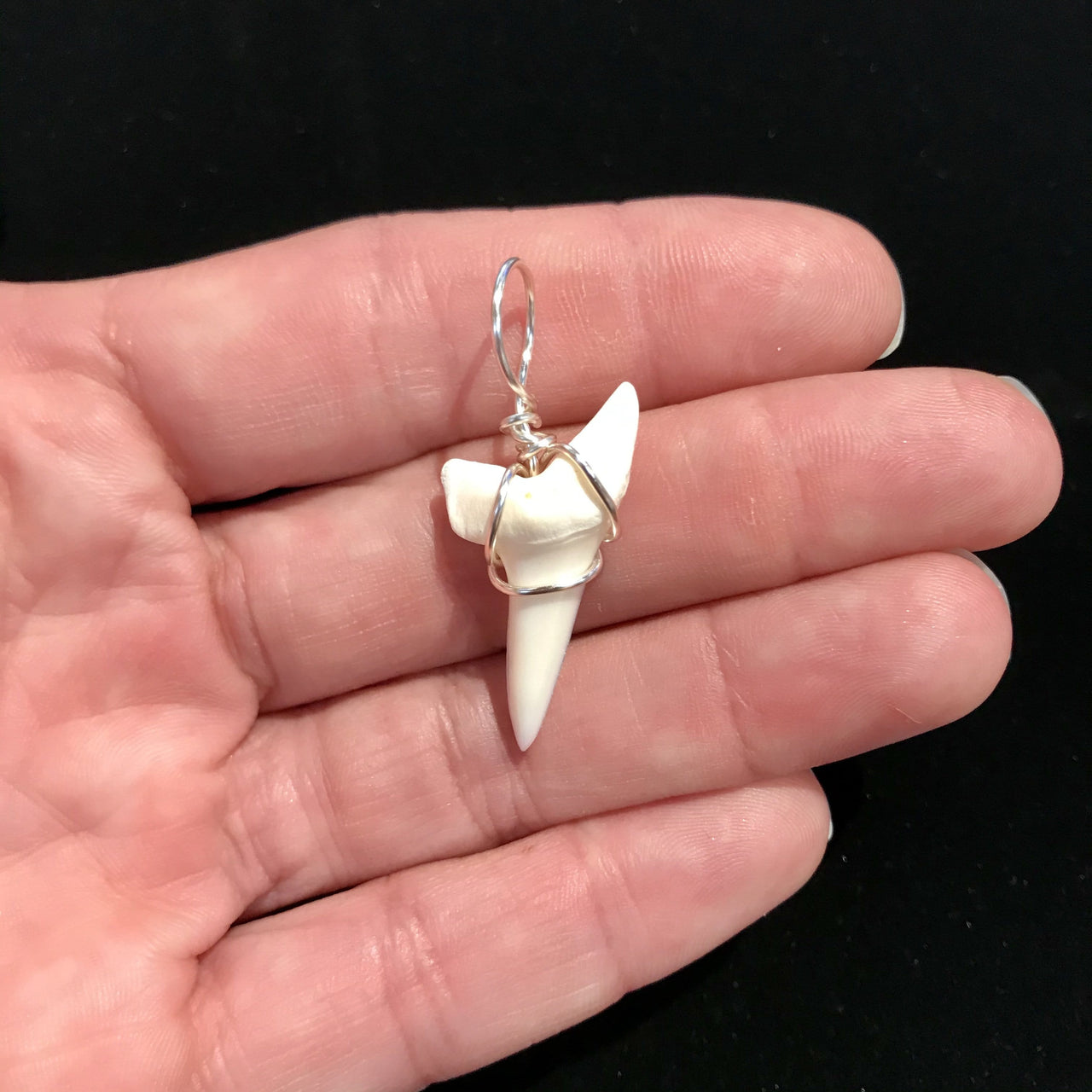 Mako Shark Tooth Pendant