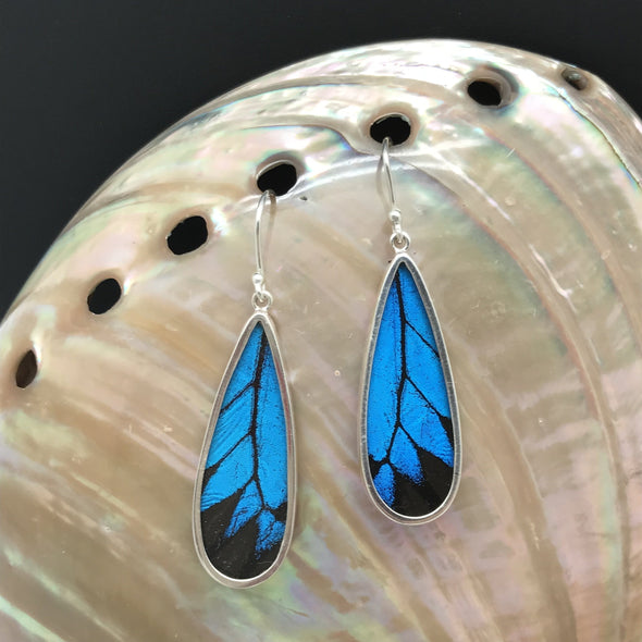 Black and Blue Teardrop Butterfly Wing Dangle Earrings