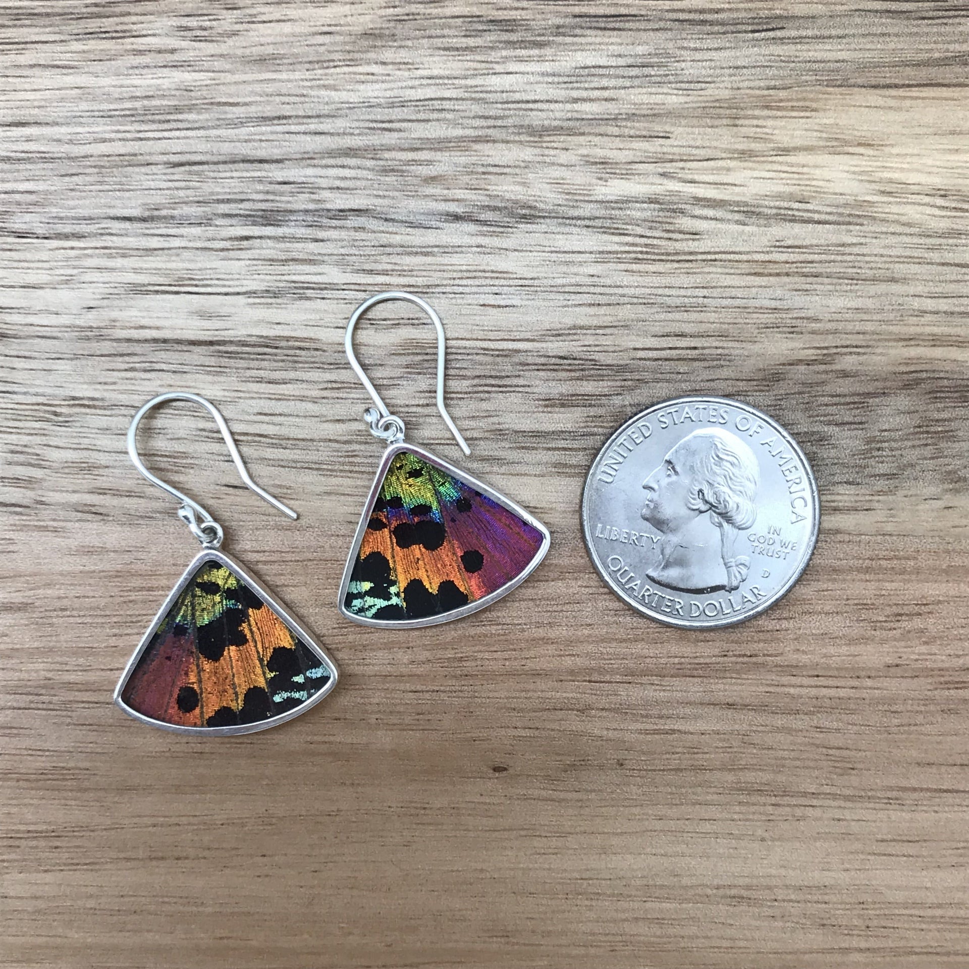 Butterfly Wing Fan Style Dangle Earrings