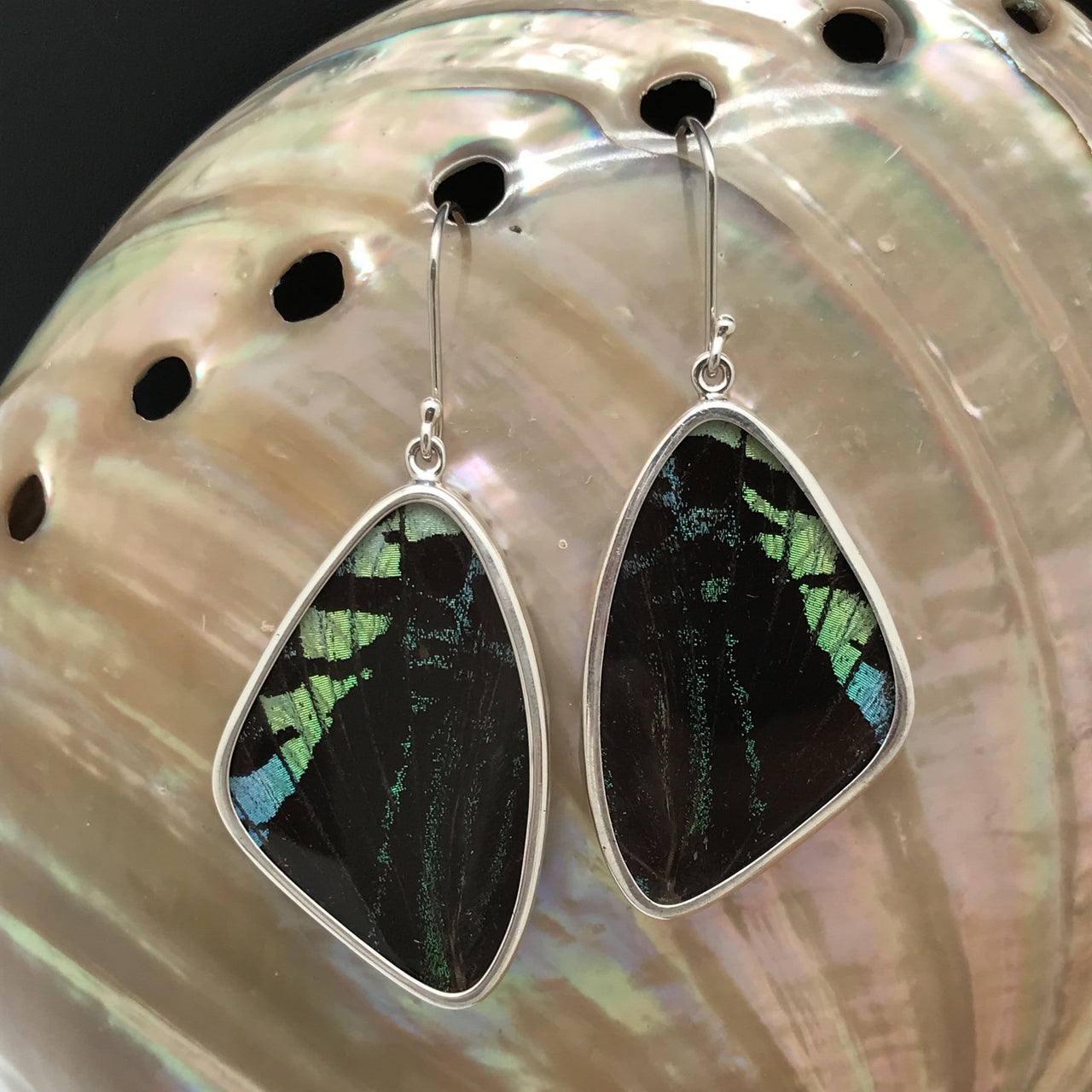 Large Butterfly Wing Earrings in black with green and blue accents